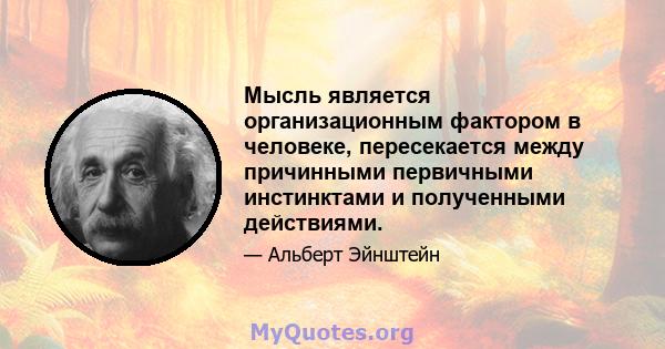 Мысль является организационным фактором в человеке, пересекается между причинными первичными инстинктами и полученными действиями.