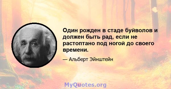 Один рожден в стаде буйволов и должен быть рад, если не растоптано под ногой до своего времени.