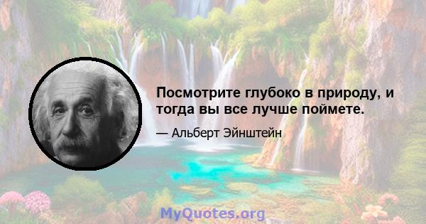 Посмотрите глубоко в природу, и тогда вы все лучше поймете.