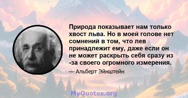 Природа показывает нам только хвост льва. Но в моей голове нет сомнений в том, что лев принадлежит ему, даже если он не может раскрыть себя сразу из -за своего огромного измерения.