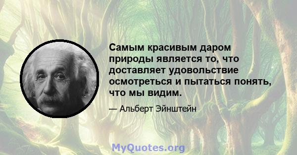 Самым красивым даром природы является то, что доставляет удовольствие осмотреться и пытаться понять, что мы видим.