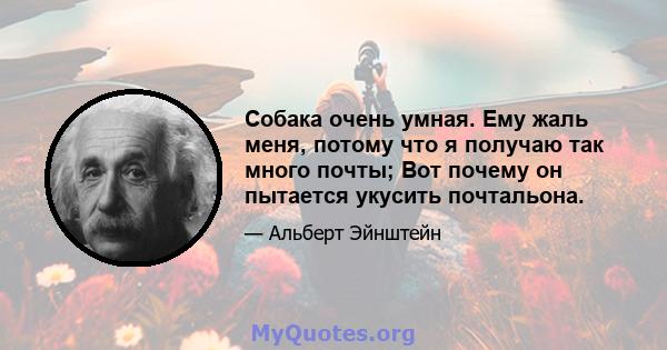 Собака очень умная. Ему жаль меня, потому что я получаю так много почты; Вот почему он пытается укусить почтальона.