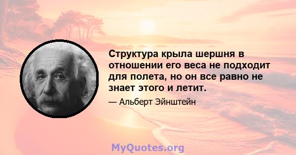 Структура крыла шершня в отношении его веса не подходит для полета, но он все равно не знает этого и летит.