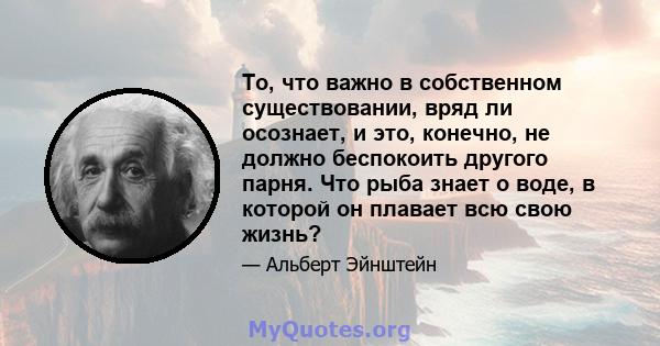 То, что важно в собственном существовании, вряд ли осознает, и это, конечно, не должно беспокоить другого парня. Что рыба знает о воде, в которой он плавает всю свою жизнь?