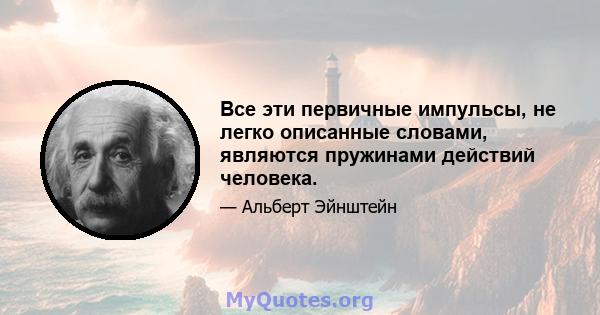 Все эти первичные импульсы, не легко описанные словами, являются пружинами действий человека.