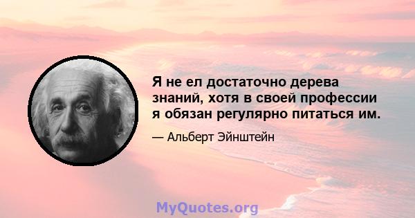 Я не ел достаточно дерева знаний, хотя в своей профессии я обязан регулярно питаться им.