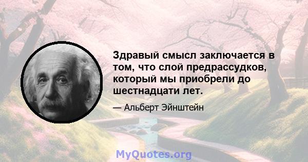 Здравый смысл заключается в том, что слой предрассудков, который мы приобрели до шестнадцати лет.