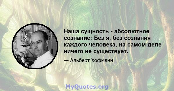 Наша сущность - абсолютное сознание; Без я, без сознания каждого человека, на самом деле ничего не существует.