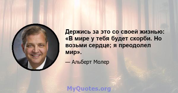 Держись за это со своей жизнью: «В мире у тебя будет скорби. Но возьми сердце; я преодолел мир».