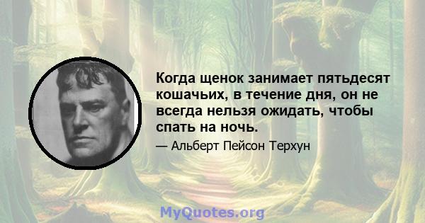 Когда щенок занимает пятьдесят кошачьих, в течение дня, он не всегда нельзя ожидать, чтобы спать на ночь.