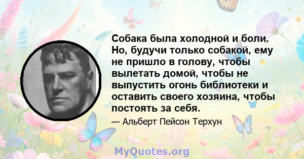 Собака была холодной и боли. Но, будучи только собакой, ему не пришло в голову, чтобы вылетать домой, чтобы не выпустить огонь библиотеки и оставить своего хозяина, чтобы постоять за себя.