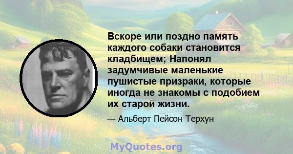 Вскоре или поздно память каждого собаки становится кладбищем; Напонял задумчивые маленькие пушистые призраки, которые иногда не знакомы с подобием их старой жизни.