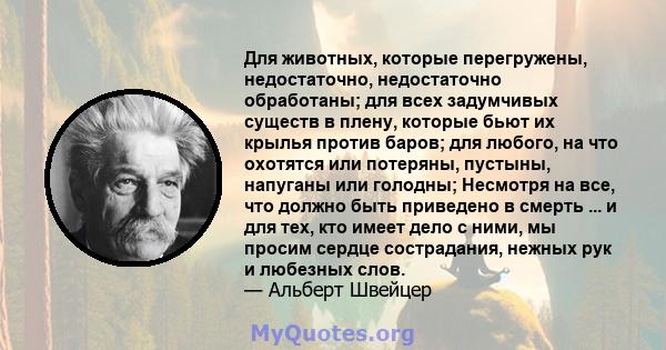 Для животных, которые перегружены, недостаточно, недостаточно обработаны; для всех задумчивых существ в плену, которые бьют их крылья против баров; для любого, на что охотятся или потеряны, пустыны, напуганы или