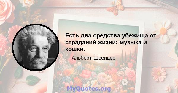 Есть два средства убежища от страданий жизни: музыка и кошки.