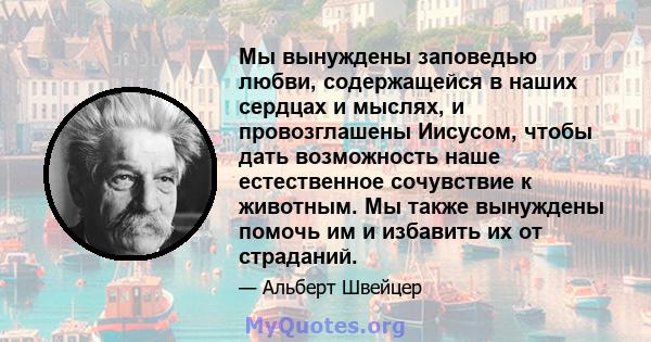 Мы вынуждены заповедью любви, содержащейся в наших сердцах и мыслях, и провозглашены Иисусом, чтобы дать возможность наше естественное сочувствие к животным. Мы также вынуждены помочь им и избавить их от страданий.