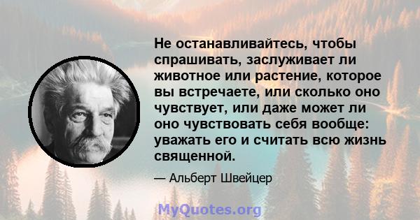 Не останавливайтесь, чтобы спрашивать, заслуживает ли животное или растение, которое вы встречаете, или сколько оно чувствует, или даже может ли оно чувствовать себя вообще: уважать его и считать всю жизнь священной.