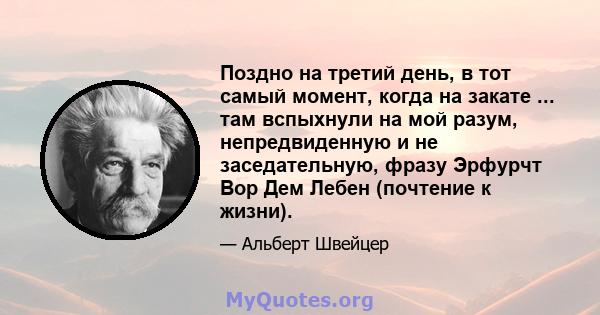 Поздно на третий день, в тот самый момент, когда на закате ... там вспыхнули на мой разум, непредвиденную и не заседательную, фразу Эрфурчт Вор Дем Лебен (почтение к жизни).