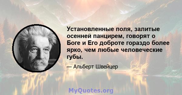 Установленные поля, залитые осенней панцирем, говорят о Боге и Его доброте гораздо более ярко, чем любые человеческие губы.