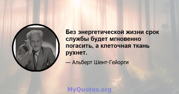 Без энергетической жизни срок службы будет мгновенно погасить, а клеточная ткань рухнет.