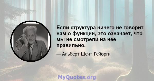 Если структура ничего не говорит нам о функции, это означает, что мы не смотрели на нее правильно.