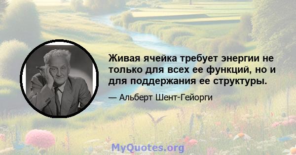 Живая ячейка требует энергии не только для всех ее функций, но и для поддержания ее структуры.