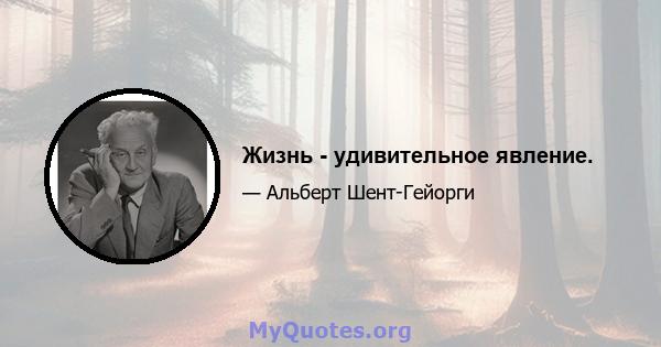 Жизнь - удивительное явление.