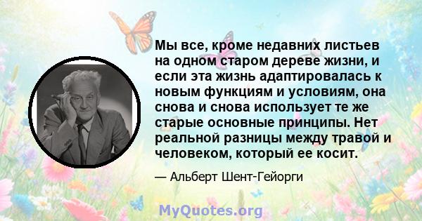 Мы все, кроме недавних листьев на одном старом дереве жизни, и если эта жизнь адаптировалась к новым функциям и условиям, она снова и снова использует те же старые основные принципы. Нет реальной разницы между травой и