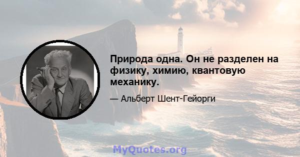 Природа одна. Он не разделен на физику, химию, квантовую механику.