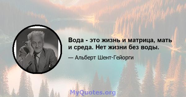 Вода - это жизнь и матрица, мать и среда. Нет жизни без воды.