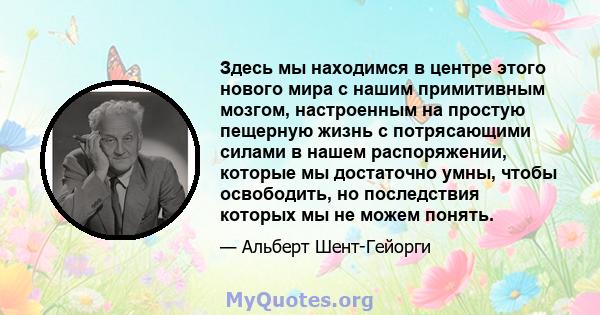 Здесь мы находимся в центре этого нового мира с нашим примитивным мозгом, настроенным на простую пещерную жизнь с потрясающими силами в нашем распоряжении, которые мы достаточно умны, чтобы освободить, но последствия