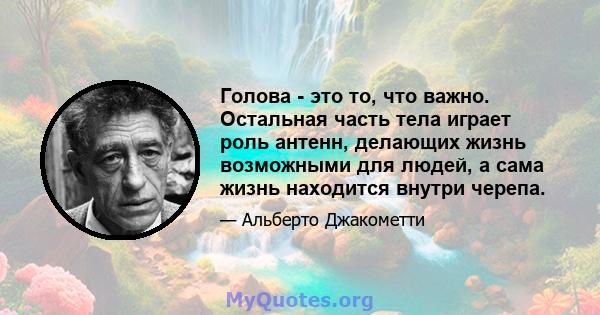 Голова - это то, что важно. Остальная часть тела играет роль антенн, делающих жизнь возможными для людей, а сама жизнь находится внутри черепа.