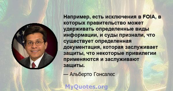 Например, есть исключения в FOIA, в которых правительство может удерживать определенные виды информации, и суды признали, что существует определенная документация, которая заслуживает защиты, что некоторые привилегии