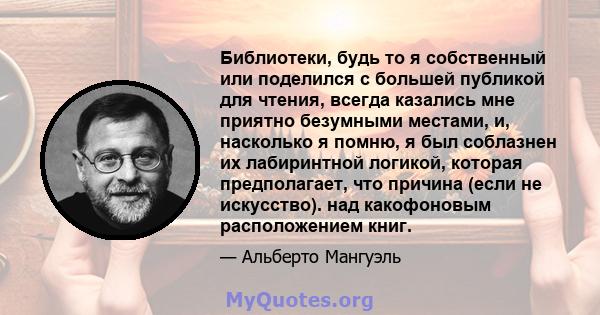 Библиотеки, будь то я собственный или поделился с большей публикой для чтения, всегда казались мне приятно безумными местами, и, насколько я помню, я был соблазнен их лабиринтной логикой, которая предполагает, что