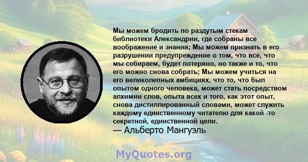 Мы можем бродить по раздутым стекам библиотеки Александрии, где собраны все воображение и знания; Мы можем признать в его разрушении предупреждение о том, что все, что мы собираем, будет потеряно, но также и то, что его 