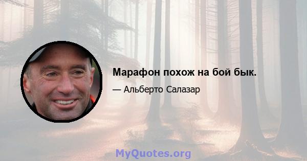 Марафон похож на бой бык.