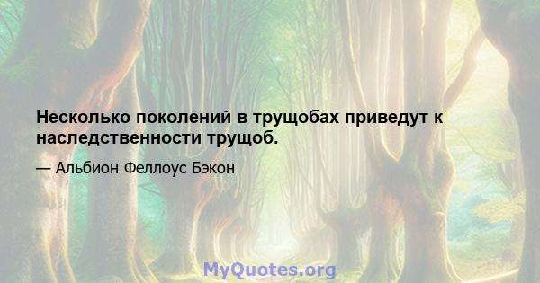 Несколько поколений в трущобах приведут к наследственности трущоб.