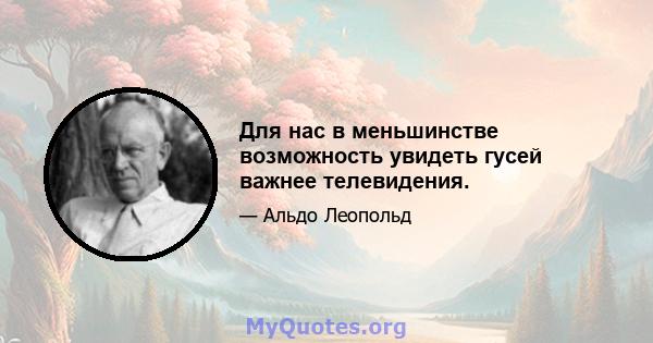 Для нас в меньшинстве возможность увидеть гусей важнее телевидения.