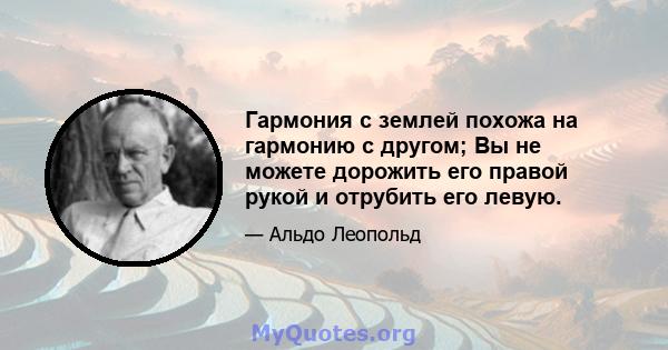 Гармония с землей похожа на гармонию с другом; Вы не можете дорожить его правой рукой и отрубить его левую.