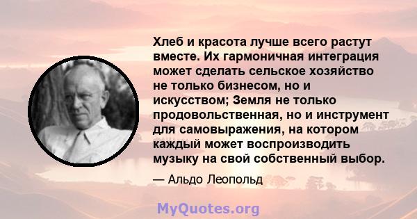 Хлеб и красота лучше всего растут вместе. Их гармоничная интеграция может сделать сельское хозяйство не только бизнесом, но и искусством; Земля не только продовольственная, но и инструмент для самовыражения, на котором