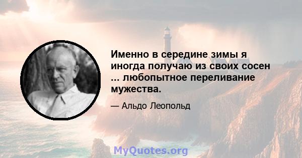 Именно в середине зимы я иногда получаю из своих сосен ... любопытное переливание мужества.