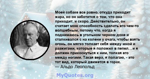 Моей собаке все равно, откуда приходит жара, но он заботится о том, что она приходит, и скоро. Действительно, он считает мою способность сделать его чем-то волшебным, потому что, когда я поднимаюсь в угольном черном