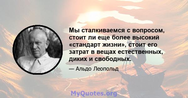 Мы сталкиваемся с вопросом, стоит ли еще более высокий «стандарт жизни», стоит его затрат в вещах естественных, диких и свободных.