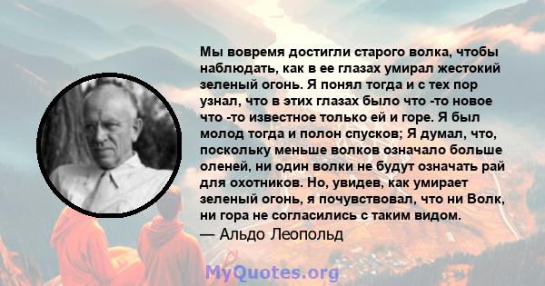 Мы вовремя достигли старого волка, чтобы наблюдать, как в ее глазах умирал жестокий зеленый огонь. Я понял тогда и с тех пор узнал, что в этих глазах было что -то новое что -то известное только ей и горе. Я был молод