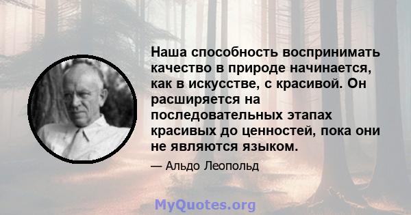 Наша способность воспринимать качество в природе начинается, как в искусстве, с красивой. Он расширяется на последовательных этапах красивых до ценностей, пока они не являются языком.