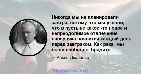 Никогда мы не планировали завтра, потому что мы узнали, что в пустыне какое -то новое и непреодолимое отвлечение наверняка появится каждый день перед завтраком. Как река, мы были свободны бродить.