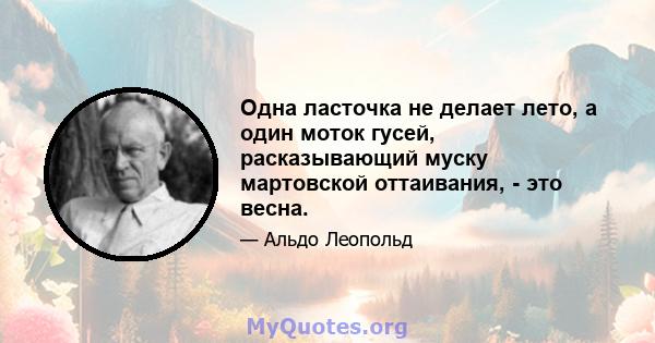 Одна ласточка не делает лето, а один моток гусей, расказывающий муску мартовской оттаивания, - это весна.