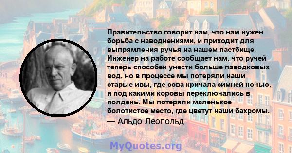 Правительство говорит нам, что нам нужен борьба с наводнениями, и приходит для выпрямления ручья на нашем пастбище. Инженер на работе сообщает нам, что ручей теперь способен унести больше паводковых вод, но в процессе