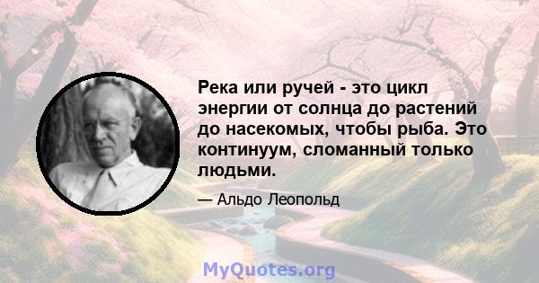 Река или ручей - это цикл энергии от солнца до растений до насекомых, чтобы рыба. Это континуум, сломанный только людьми.