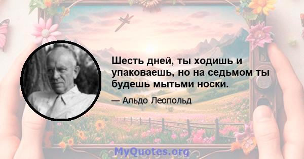 Шесть дней, ты ходишь и упаковаешь, но на седьмом ты будешь мытьми носки.