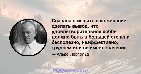 Сначала я испытываю желание сделать вывод, что удовлетворительное хобби должно быть в большей степени бесполезно, неэффективно, трудоем или не имеет значения.